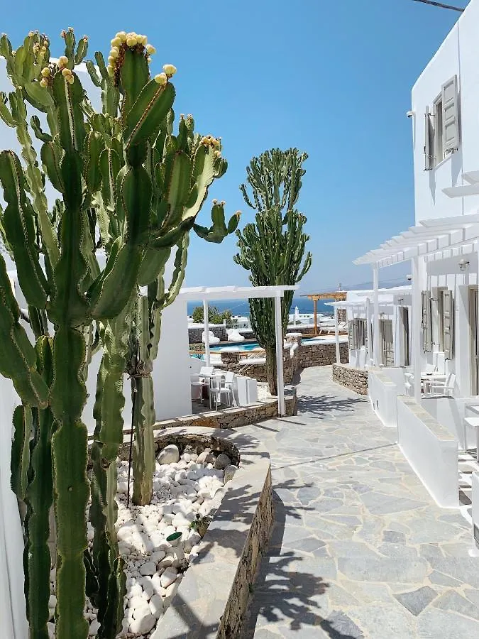 Damianos Mykonos Hotel Mykonos Town